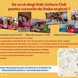 Cursuri de limba engleza an scolar 2013 - 2014